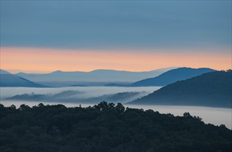 USA, Georgia, Fog above forest and Blue Ridge Mountains at sunrise