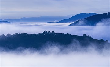 USA, Georgia, Fog and clouds above forest and Blue Ridge Mountains at sunrise