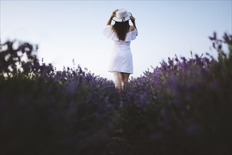 France, Woman in white dress in lavender field