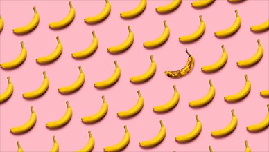 Rows of bananas on pink background