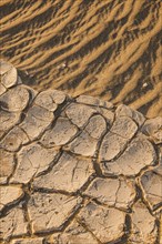 Cracked soil on desert