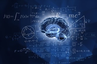 Human brain and mathematical formulas