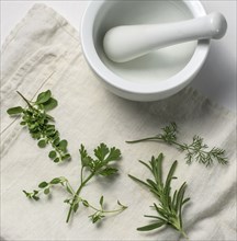 Herbs with mortar and pestle