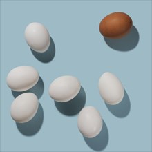 Eggs on blue background