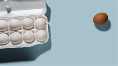 Eggs in carton on blue background