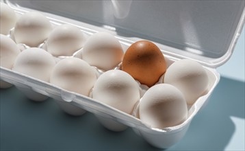Eggs in carton on blue background