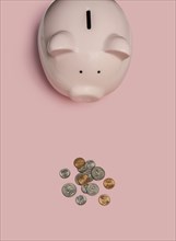 Piggy bank and coins on pink background