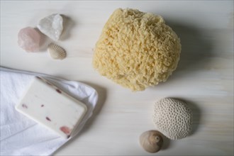 Sponge and soap for bath