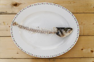Fish skeleton on plate