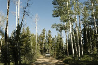 USA, Utah, Uinta National Park, Car on road trough forest in sunny day