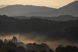 USA, Georgia, Blue Ridge Mountains and trees covered with fog at sunrise