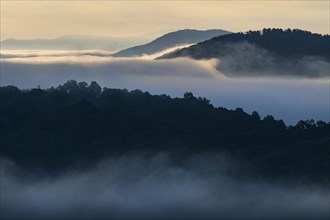 USA, Georgia, Blue Ridge Mountains covered with fog at sunrise