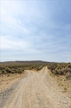 USA, Idaho, Bellevue, Forked dirt road in desert