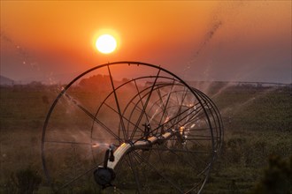 USA, Idaho, Bellevue, Irrigation wheel at sunset