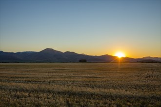 USA, Idaho, Bellevue, Agricultural field at sunset