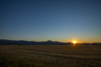 USA, Idaho, Bellevue, Agricultural field at sunset