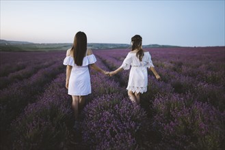France, Young women in white dresses holding hands in lavender field