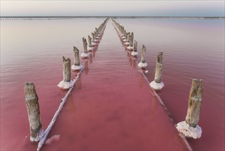 Ukraine, Crimea, Wooden posts in salt lake