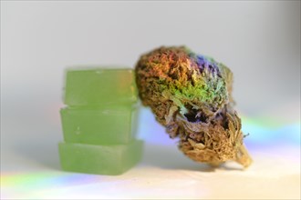 Stack of edible cannabis gummies and cannabis bud