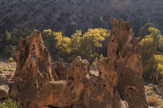 Rock formations in Bandelier National Monument
