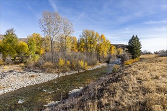 Autumn landscape with river and yellow trees