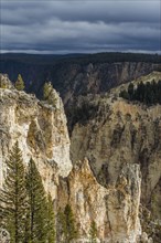 Cliffs of Grand Canyon in Yellowstone National Park