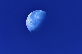 Half Moon on blue sky