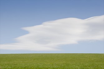 Green plain and sky