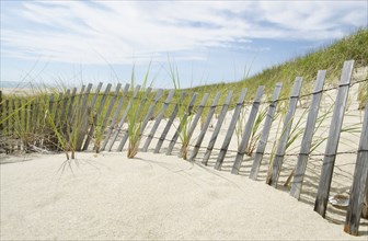 Sand fence and marram grass