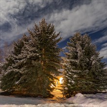 Illuminated porch of hut between trees in winter
