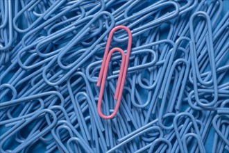 Pink paper clip on pile of blue paper clips