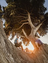 Mother with son and daughter sitting on tree in landscape at sunset