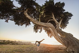 Girl doing handstand near tree in landscape at sunset