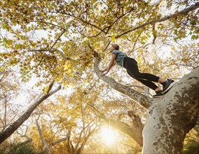 Low angle view of girl climbing tree in forest at sunset