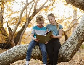 Boy and girl sitting on tree branch and reading book