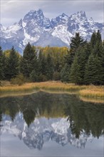 Snow covered Teton mountains and trees reflected in calm lake
