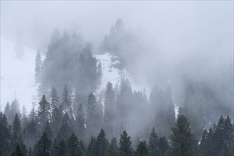 Clouds and fog over forest in mountains in winter
