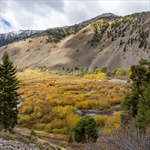 Trail Creek in autumn