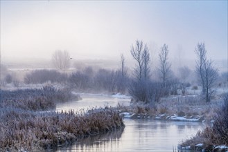 Frosty river at dawn