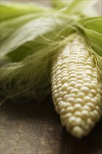 Close up of corn cob on table