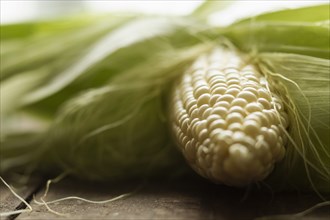 Surface level close up of corn cob on table