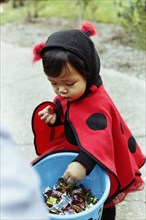 Girl wearing ladybird costume with trick or treat bucket