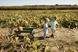 Brother and sister pulling pumpkin in cart