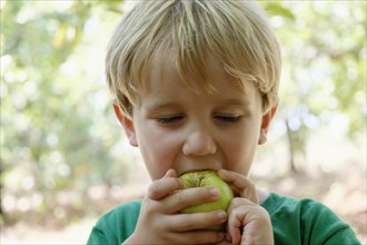 Portrait of boy eating green apple on fruit farm