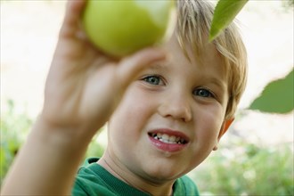 Close up of boy picking green apple on fruit farm