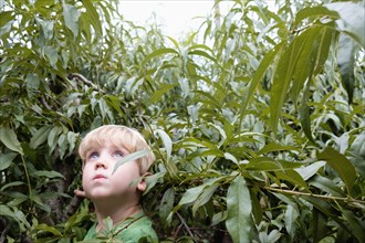 Portrait of boy looking up from peach trees on fruit farm