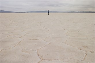 Person standing on salt flat