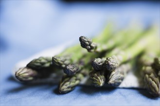 Still life of fresh asparagus on napkin