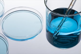 Petri dish with blue liquid and pipette