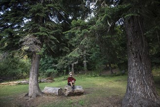 Man sitting on log between pine trees